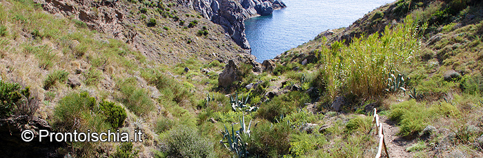 Alla scoperta dei percorsi naturalistici del versante sud-occidentale dell'isola d'Ischia