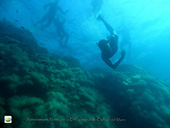 Ischia BioDiving weekend 6