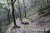 Il Cretaio e il Bosco della Maddalena 7