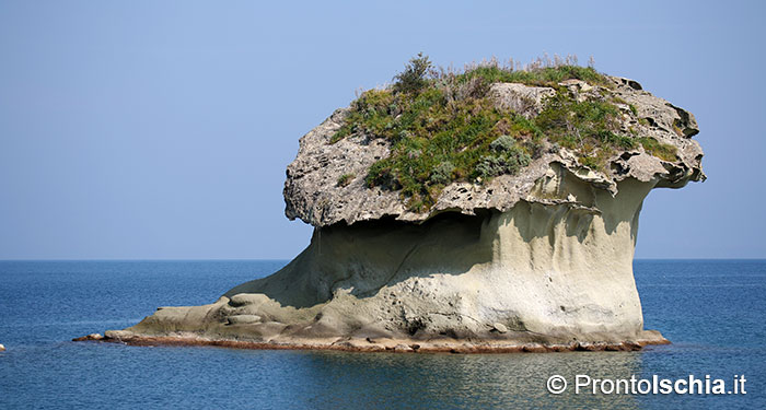 Lo scoglio simbolo di Lacco Ameno e dell'isola d'Ischia