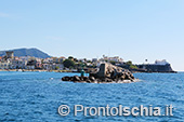 Il giro dell'isola d'Ischia via mare 38