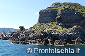 Il giro dell'isola d'Ischia via mare 64