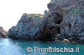 Il giro dell'isola d'Ischia via mare 65