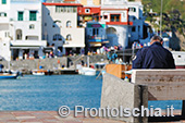 Il giro dell'isola d'Ischia via mare 80