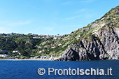 Il giro dell'isola d'Ischia via mare 87