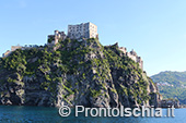 Il giro dell'isola d'Ischia via mare 99