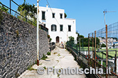 Da Ischia Ponte a Cartaromana 14