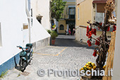 Da Ischia Ponte a Cartaromana 18