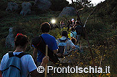 Escursioni a Ischia: tramonto al Monte Epomeo 89