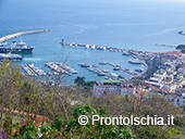 Il fascino nascosto di Ischia 13