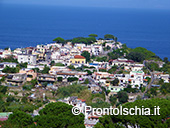 Il fascino nascosto di Ischia 14