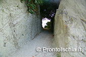 Gli itinerari geo-ambientali dell'isola d'Ischia 2