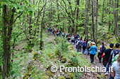 Camminare a Ischia nella natura 8