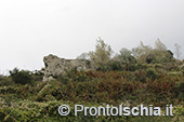 Escursioni a Ischia: dal Bosco della Maddalena a Sant'Angelo 45