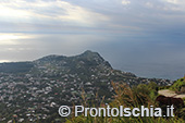 Escursioni a Ischia: dal Bosco della Maddalena a Sant'Angelo 54