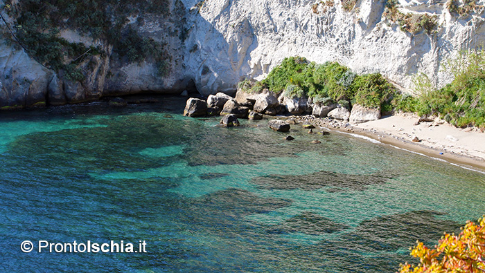 La spiaggia delle Monache a Lacco Ameno