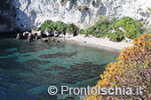 Spiaggia delle Monache 2