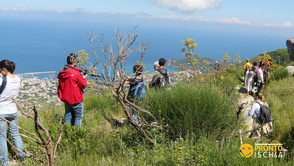 Sentieri turistici e itinerari escursionistici da percorrere per godere della natura di Ischia