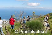 Hiking a Ischia 6